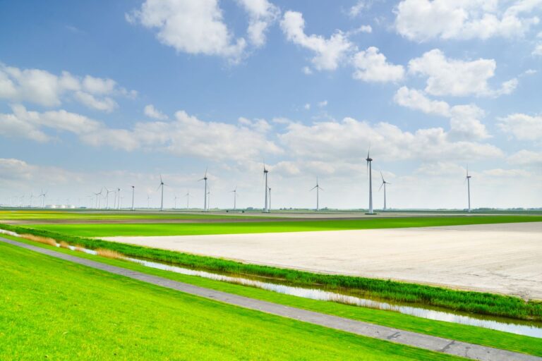 Panoramic view of wind turbines on a sunny day in the countryside, symbolizing renewable energy.