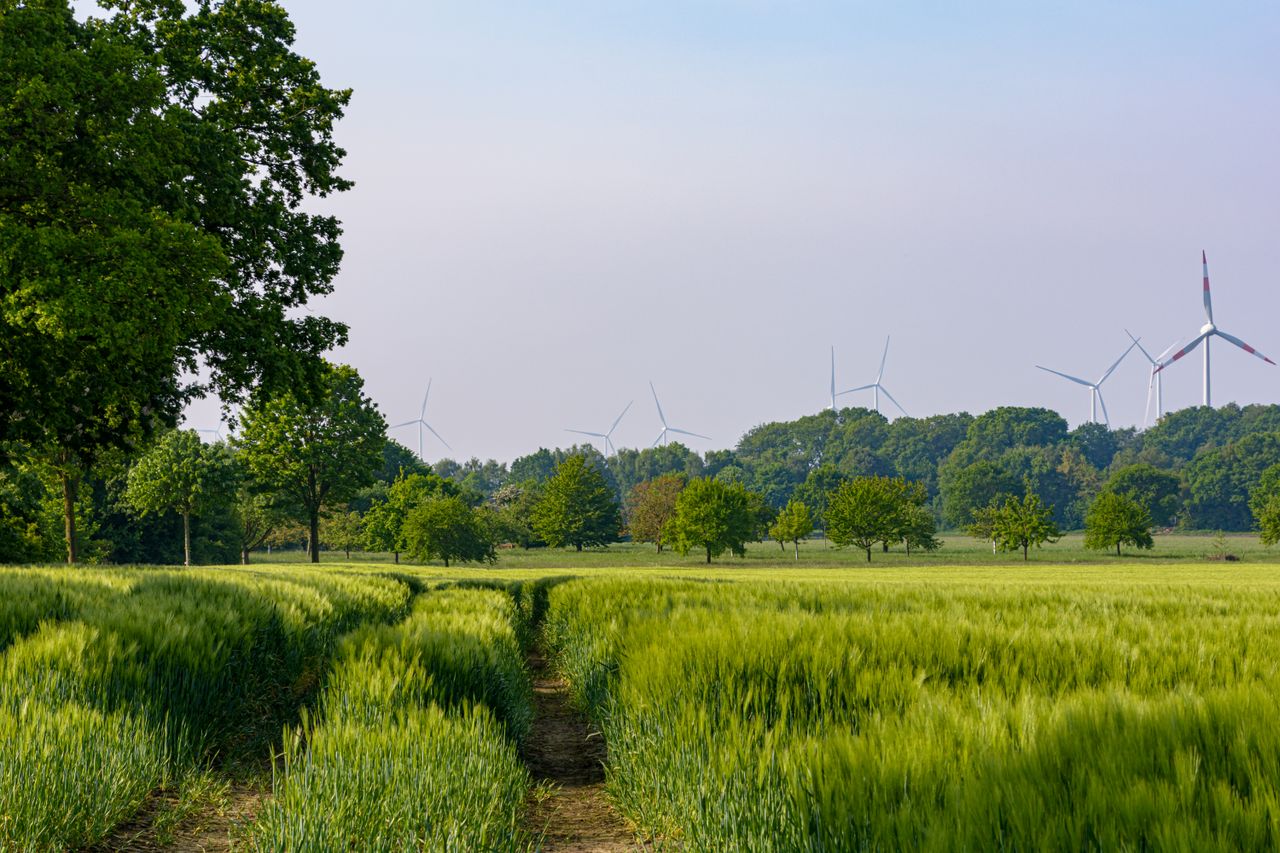 Lush green fields with wind turbines in Coesfeld, NRW, Germany, showcasing renewable energy.