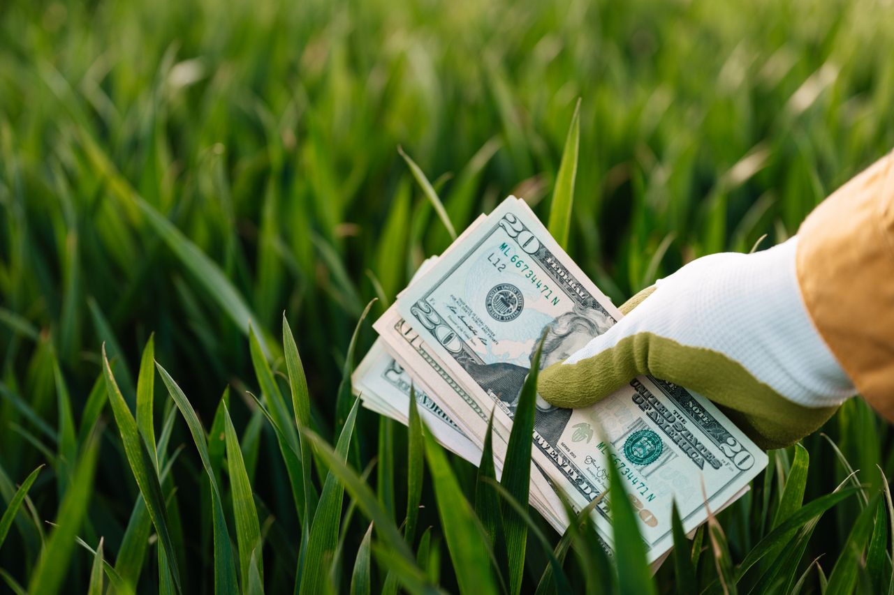 heros-img Crop faceless grower in garden gloves demonstrating heap of paper money with photo of unrecognizable person and numbers near growing lush grass